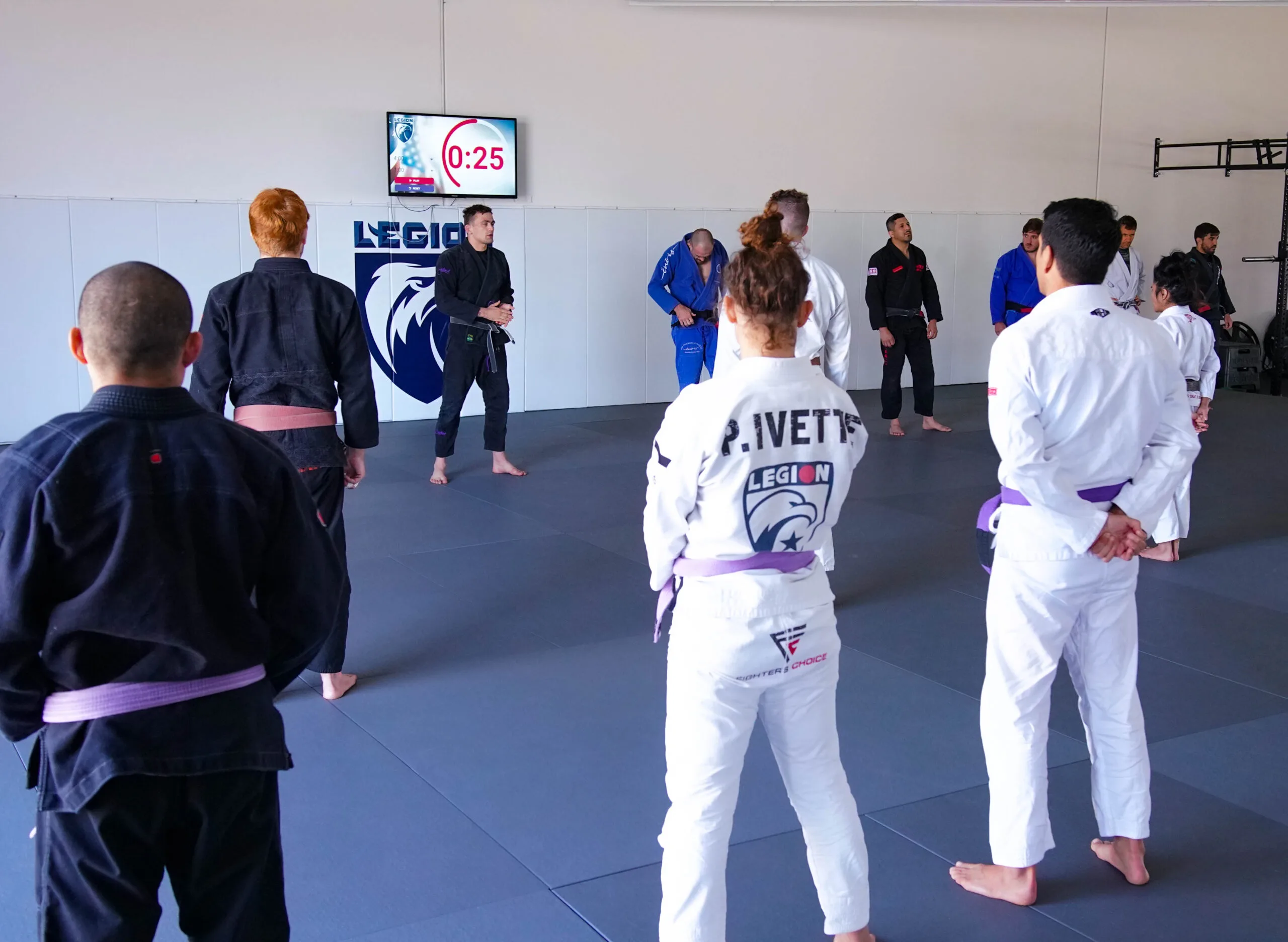 REMEMBER YOUR JIU-JITSU MOVES