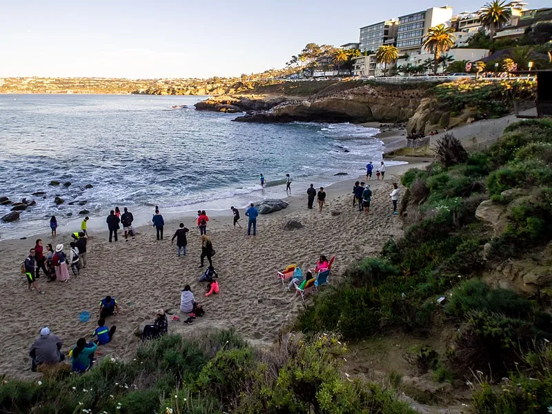 Jiu-Jitsu near La Jolla, San Diego