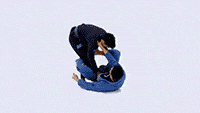 Berimbolo technique demonstration