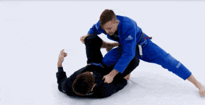 Longstep technique demonstration