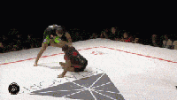 Schaubin’ technique demonstration